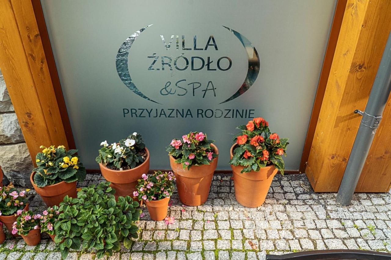 Villa Zrodlo & Spa Криниця-Здруй Екстер'єр фото